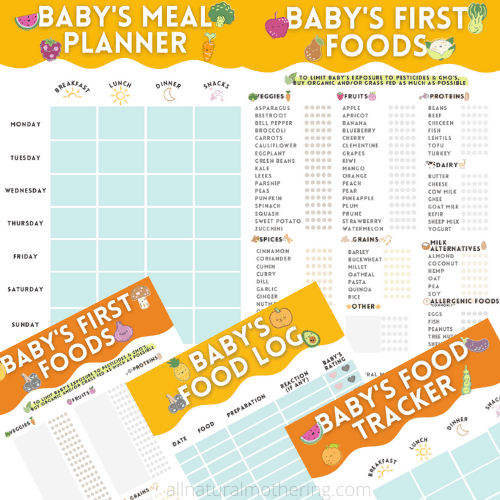 baby food planner and tracker for babyled weaning