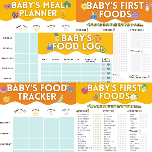 baby food planner and tracker for babyled weaning