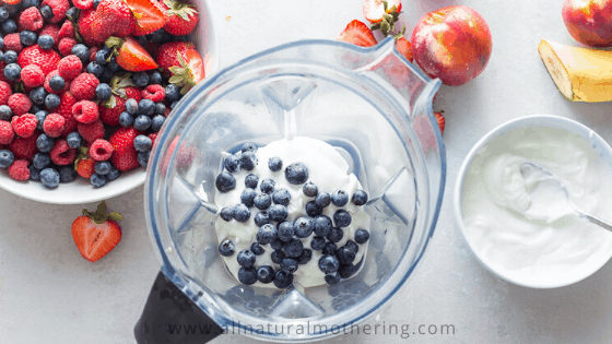 DIY Homemade Baby Yogurt Melts Recipe ( 3 Yummy Flavors!)