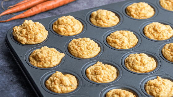 Learner at tiltrække vest BLW Carrot Muffins Recipe Story - All Natural Mothering