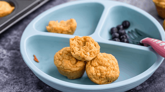 No Sugar BabyLed Weaning Carrot Muffins Recipe