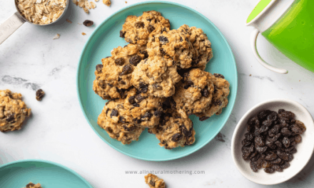 Easy Toddler Oatmeal Raisins Cookies