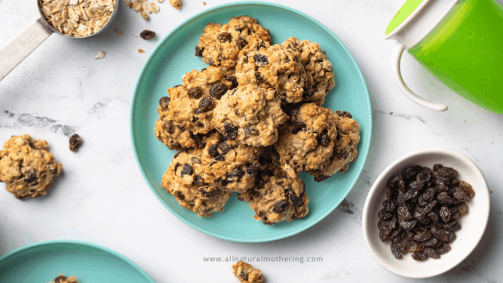 Easy Toddler Oatmeal Raisins Cookies