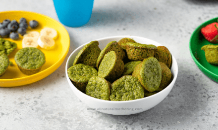 Easy Blender Muffins – Spinach + Oats for Toddlers