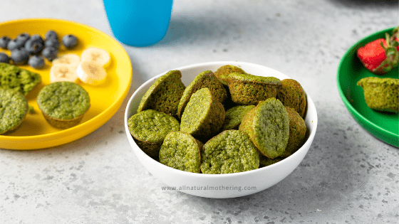 Easy Blender Muffins – Spinach + Oats for Toddlers