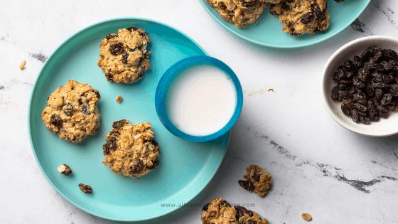 toddler friendly oatmeal raisin cookie recipe