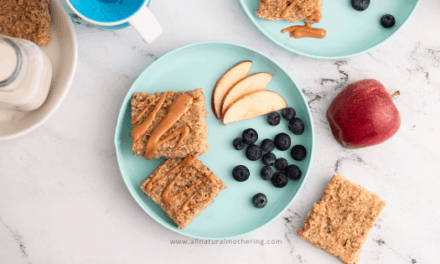 Healthy BLW Apple Oat Bars For Babies and Toddlers