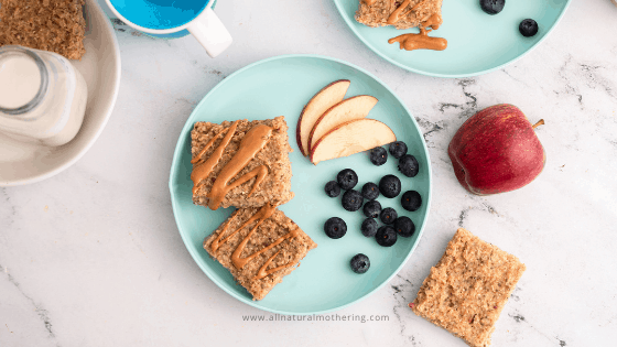 Healthy BLW Apple Oat Bars For Babies and Toddlers