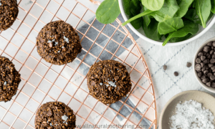 Fudgy Sneaky Spinach Oat Cookies ( Kid Friendly!)