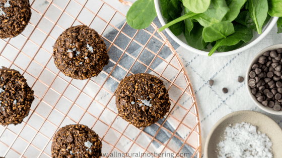 Fudgy Sneaky Spinach Oat Cookies ( Kid Friendly!)