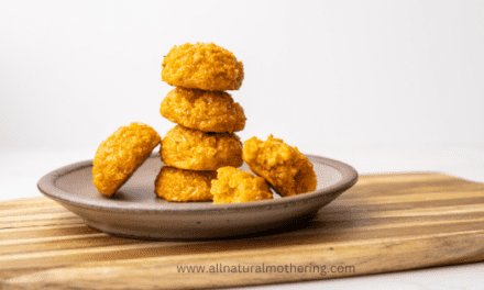 Easy Carrot Cheese Balls *Toddler + Kid Friendly*