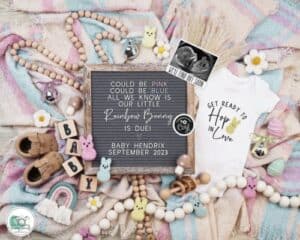 rainbow pregnancy announcement ideas