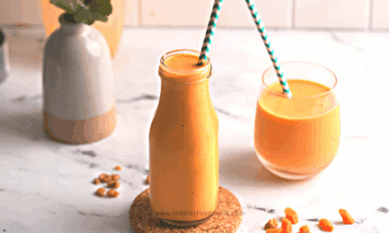 Protein Carrot Smoothie for Toddlers with Hidden Veggies