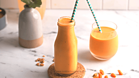 Protein Carrot Smoothie for Toddlers with Hidden Veggies