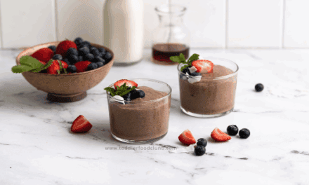 Toddler Chia Pudding Recipe